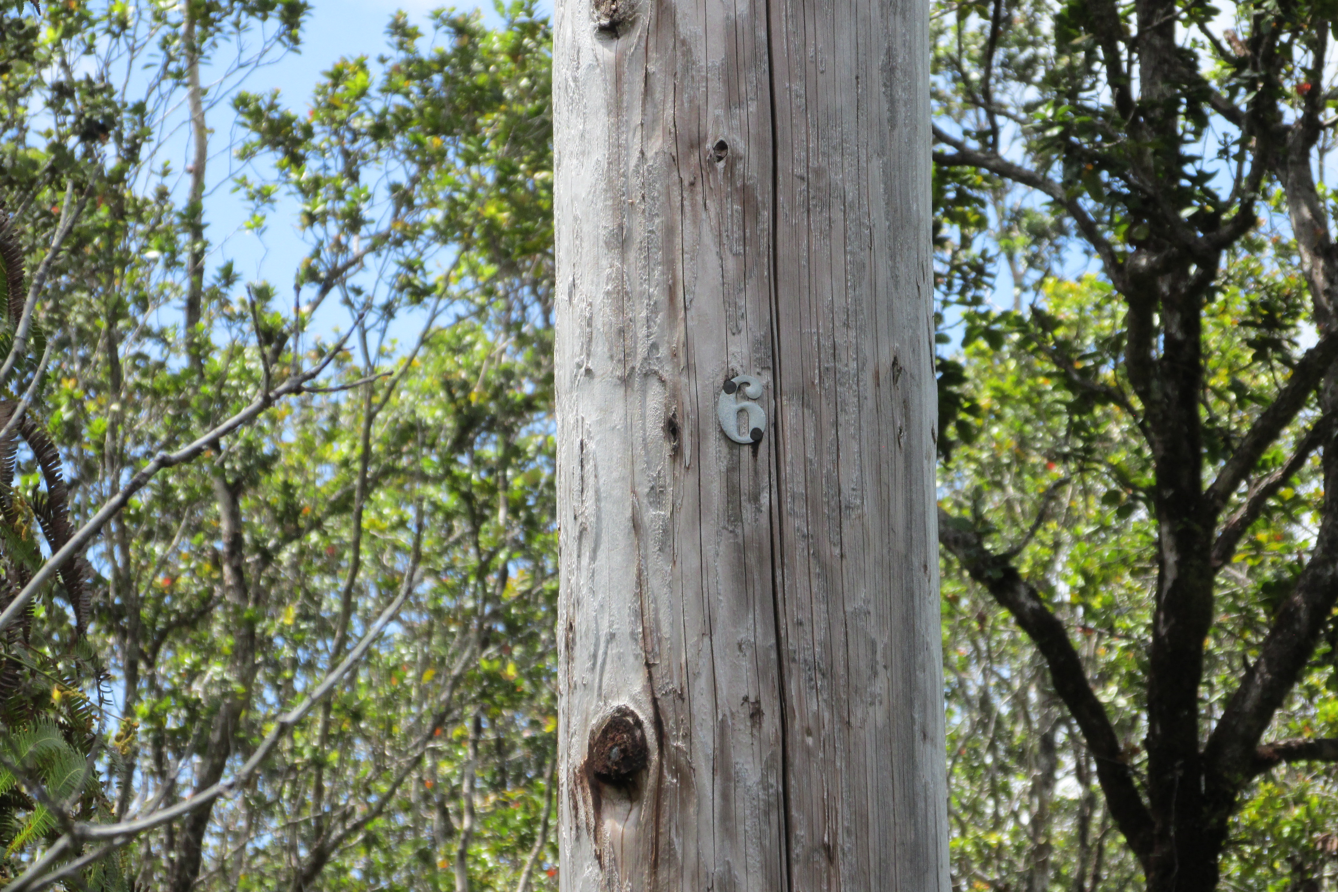 MOKUNA ST