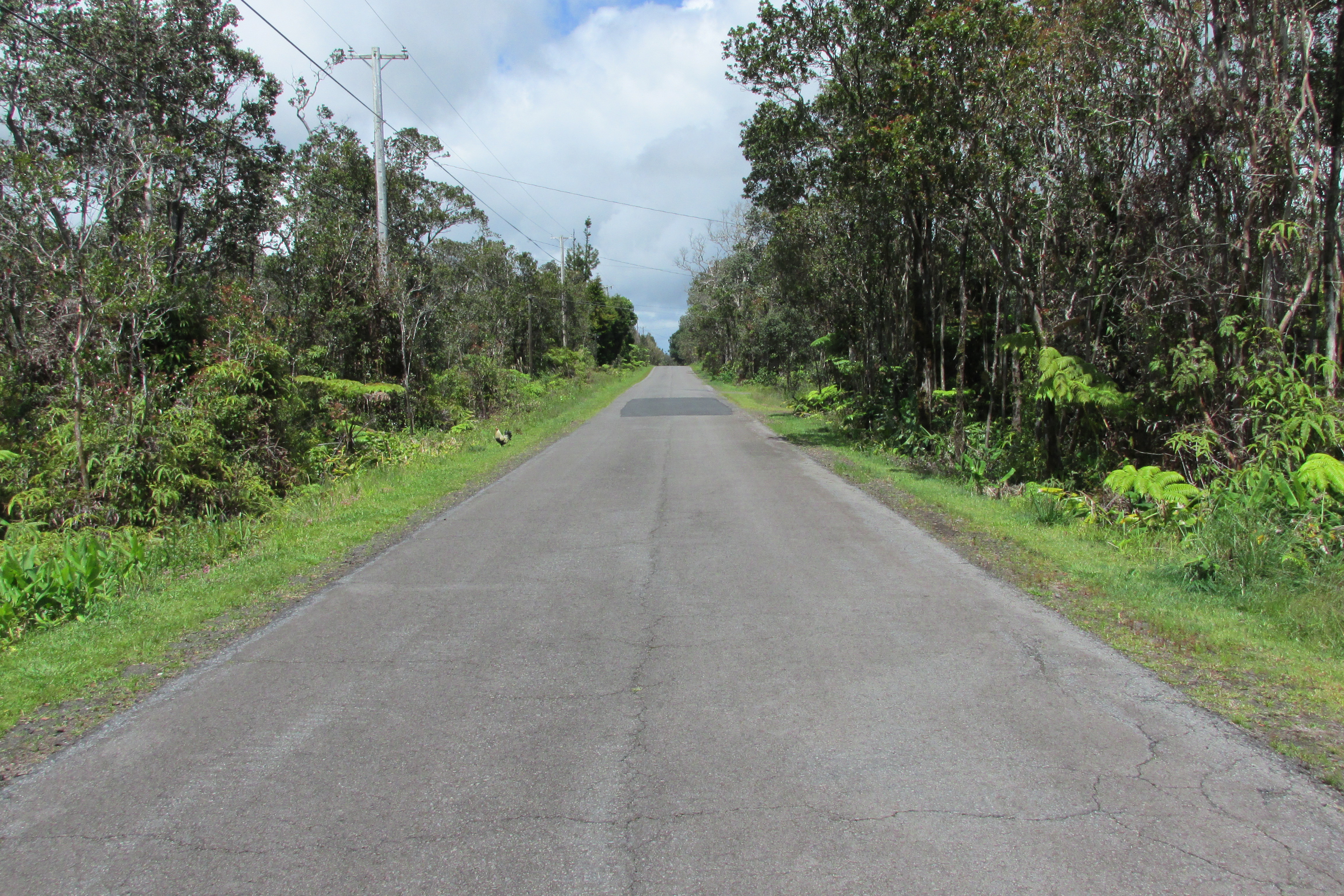MOKUNA ST