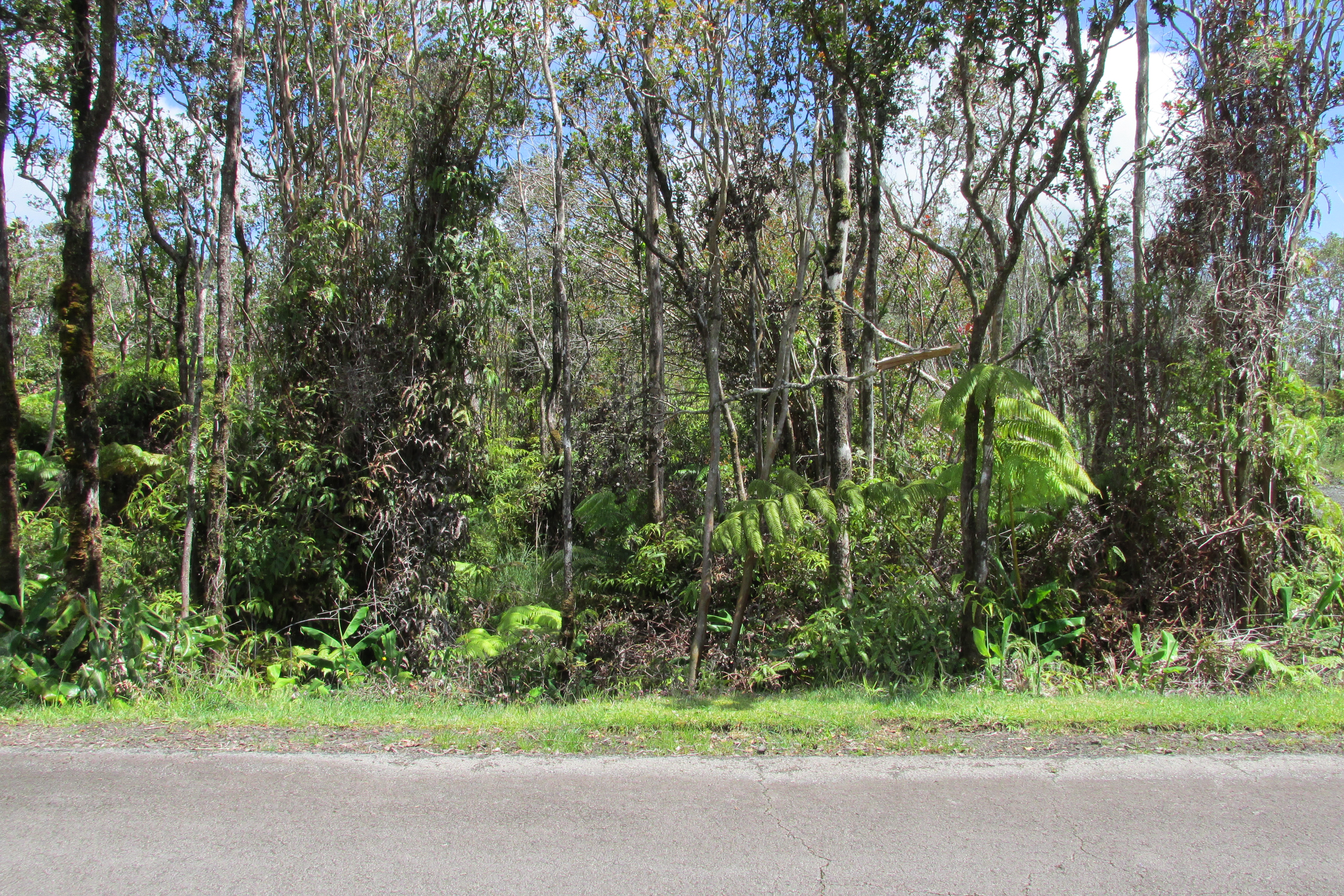 MOKUNA ST