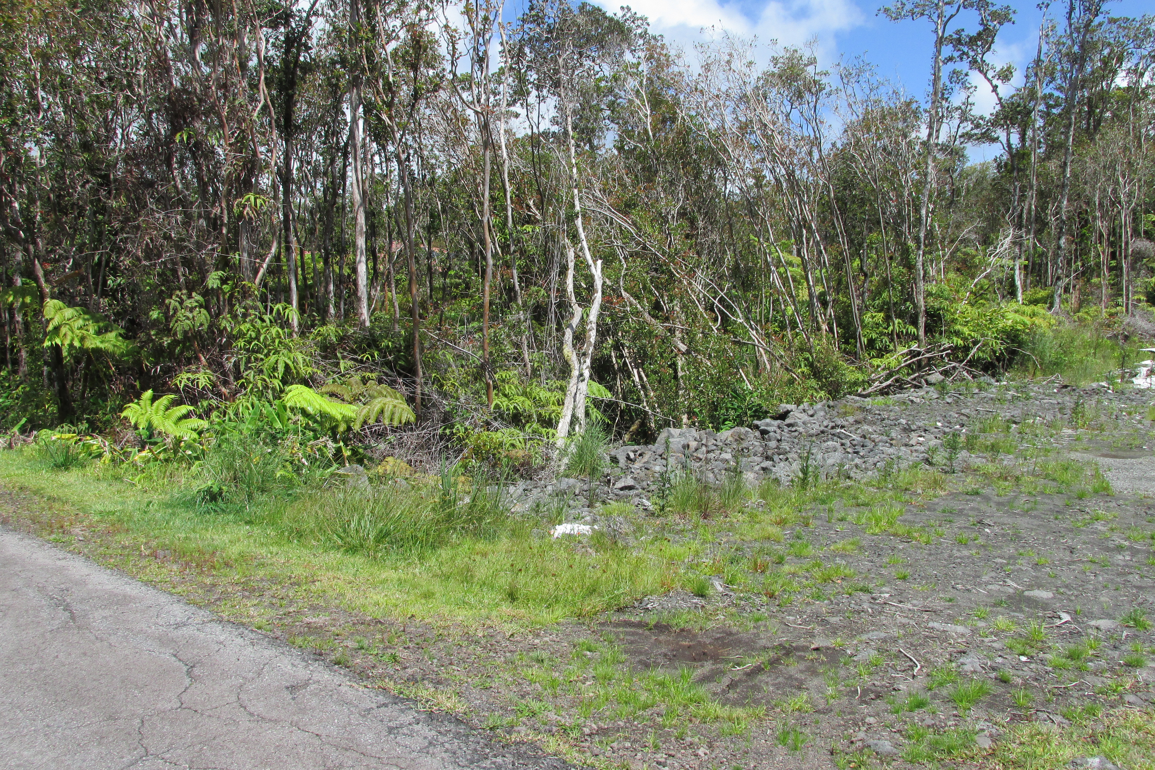 MOKUNA ST