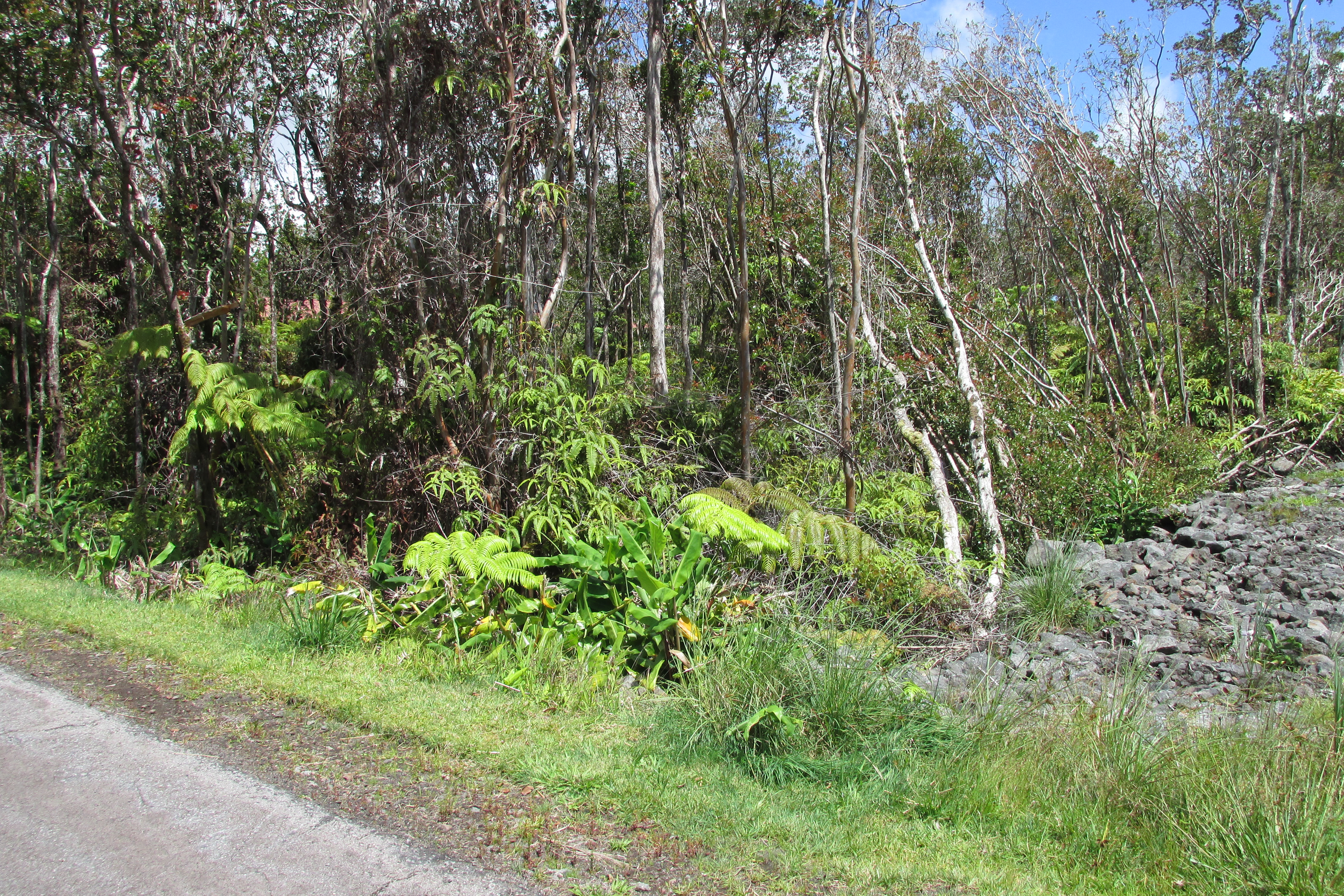 MOKUNA ST