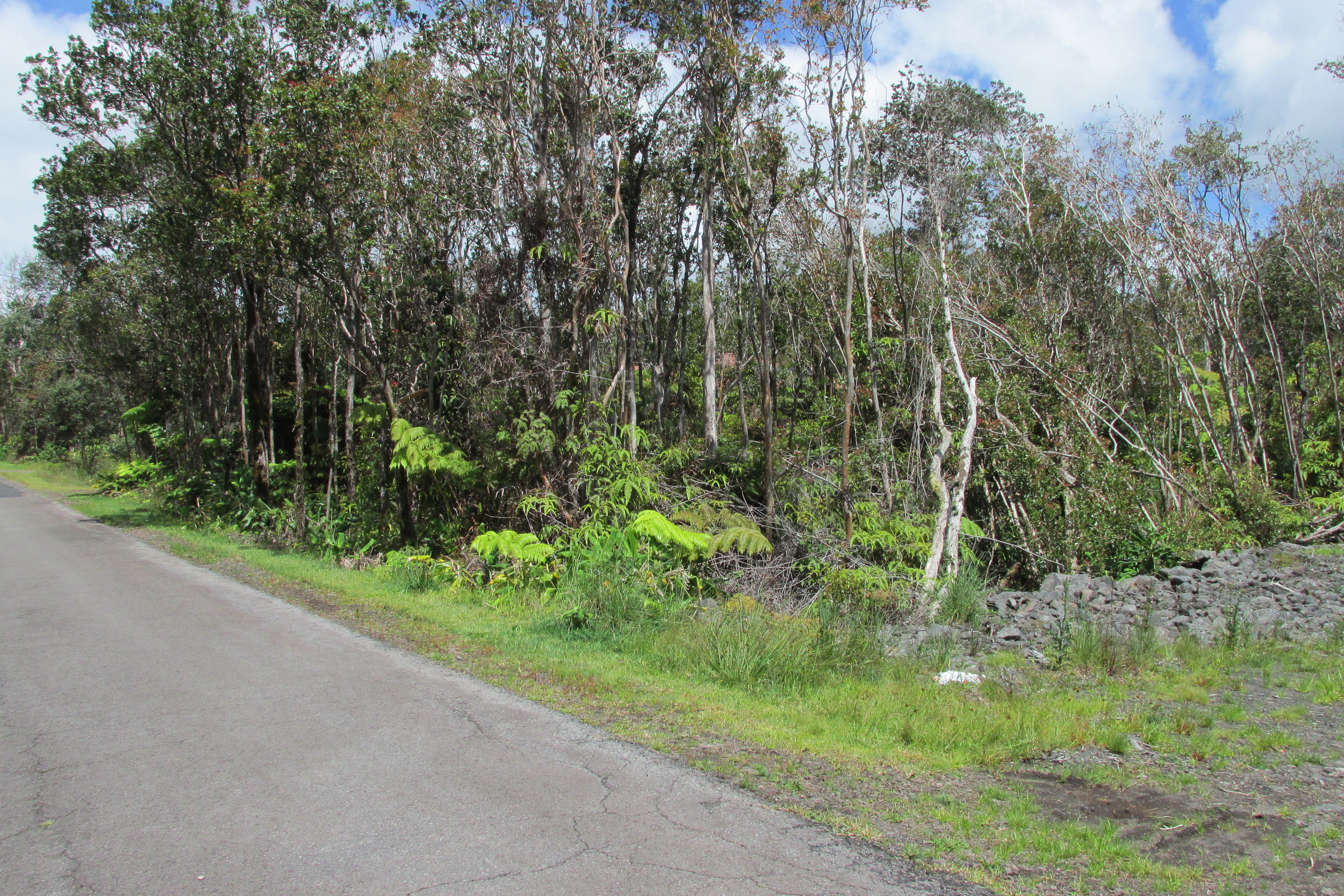 MOKUNA ST