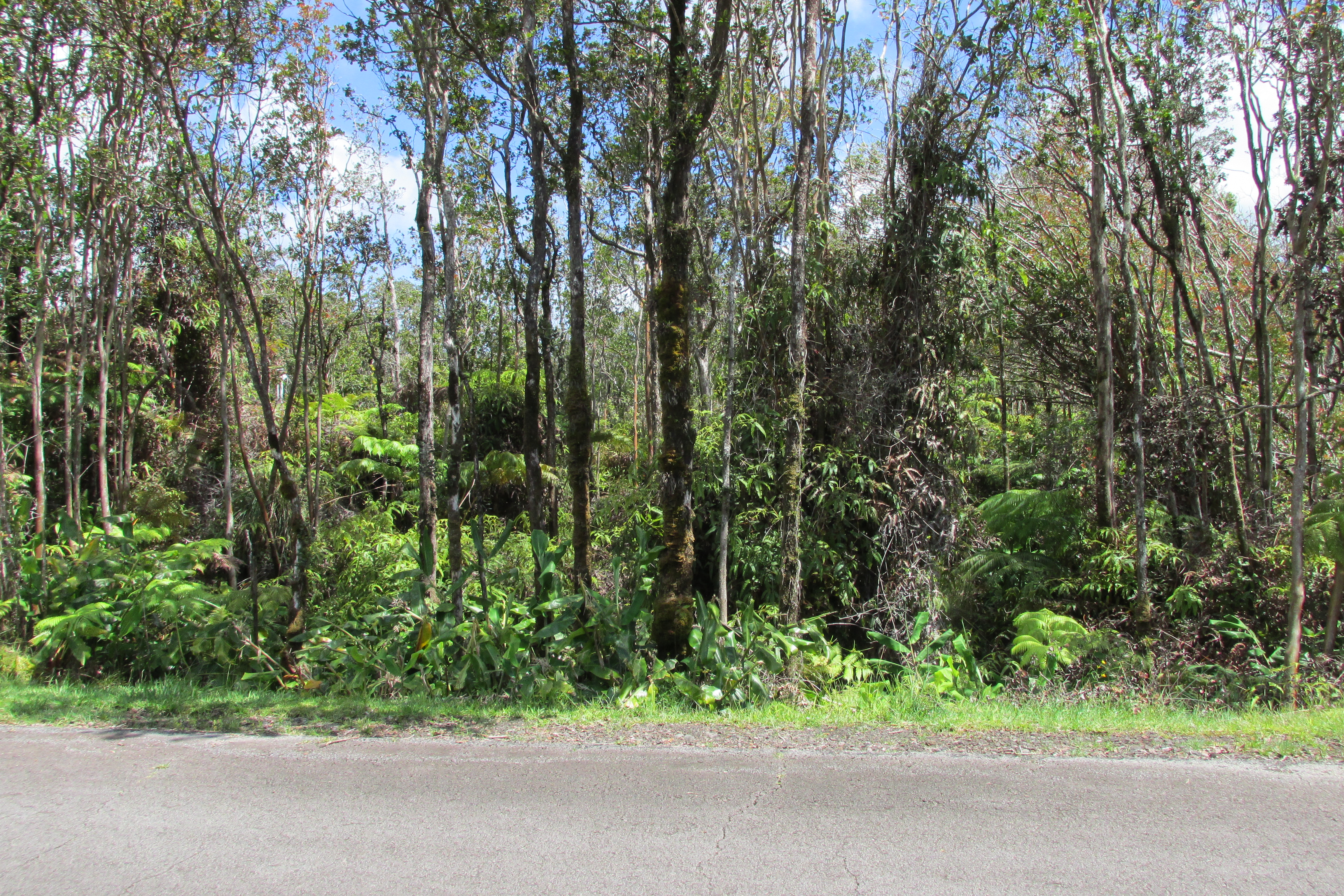 MOKUNA ST