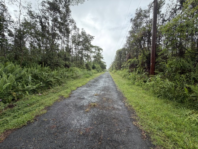 PUNA RD