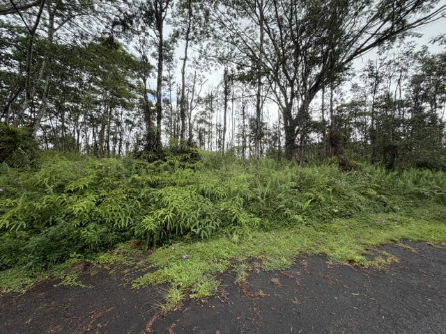 PUNA RD