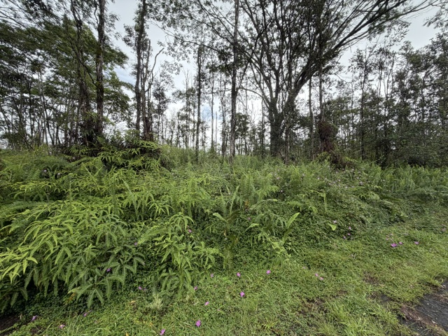 PUNA RD