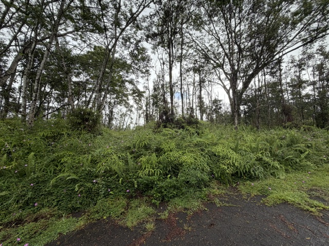 PUNA RD
