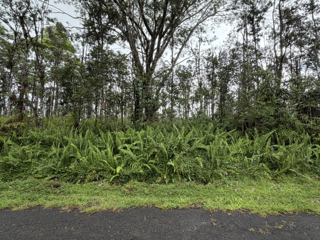 PUNA RD
