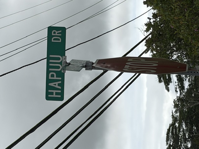HAPUU DR