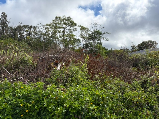HAPUU DR
