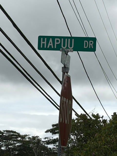 HAPUU DR