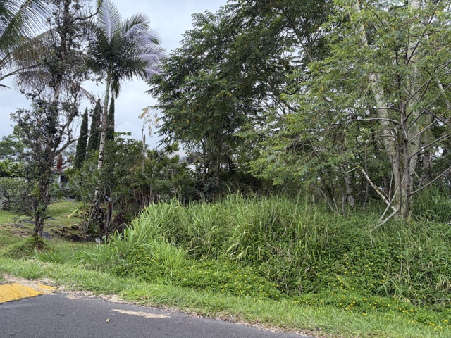 HAPUU DR
