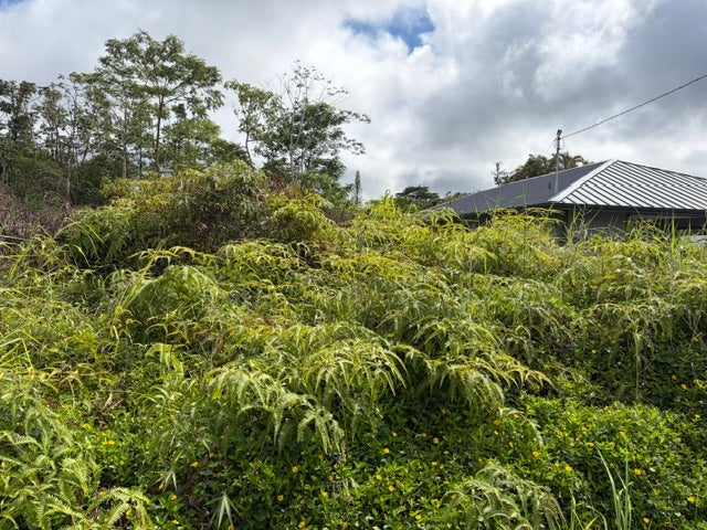 HAPUU DR