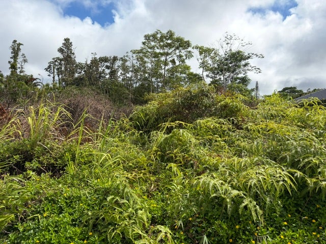 HAPUU DR