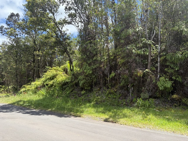 LEHUA ST