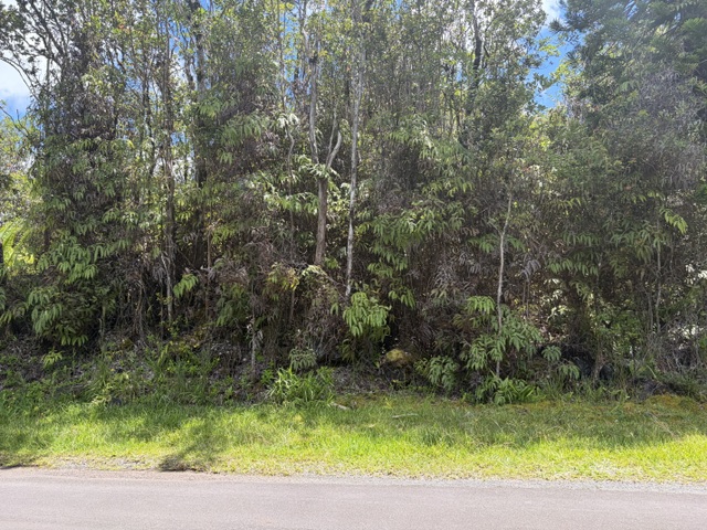 LEHUA ST