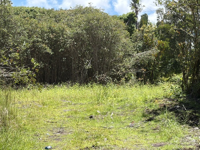 LEHUA ST