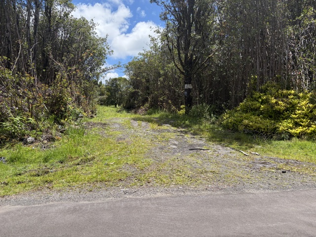LEHUA ST