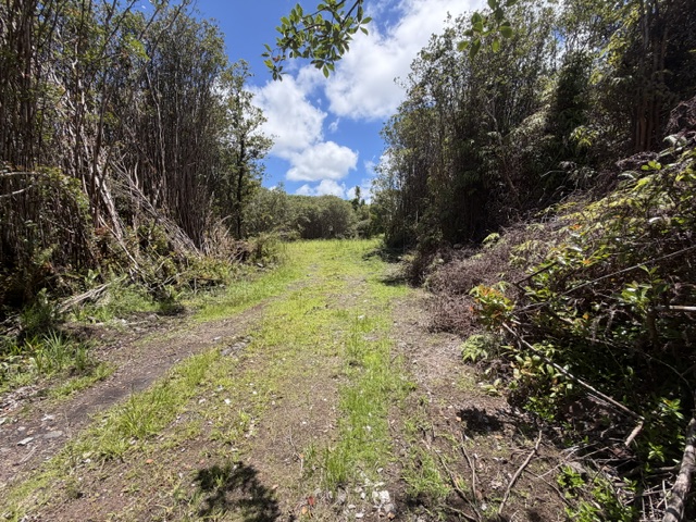 LEHUA ST