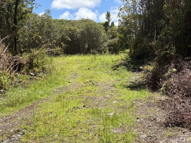 LEHUA ST