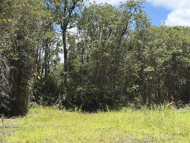 LEHUA ST