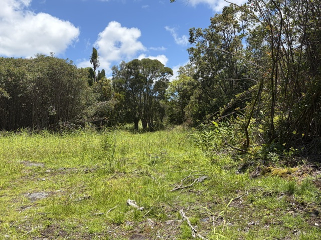 LEHUA ST