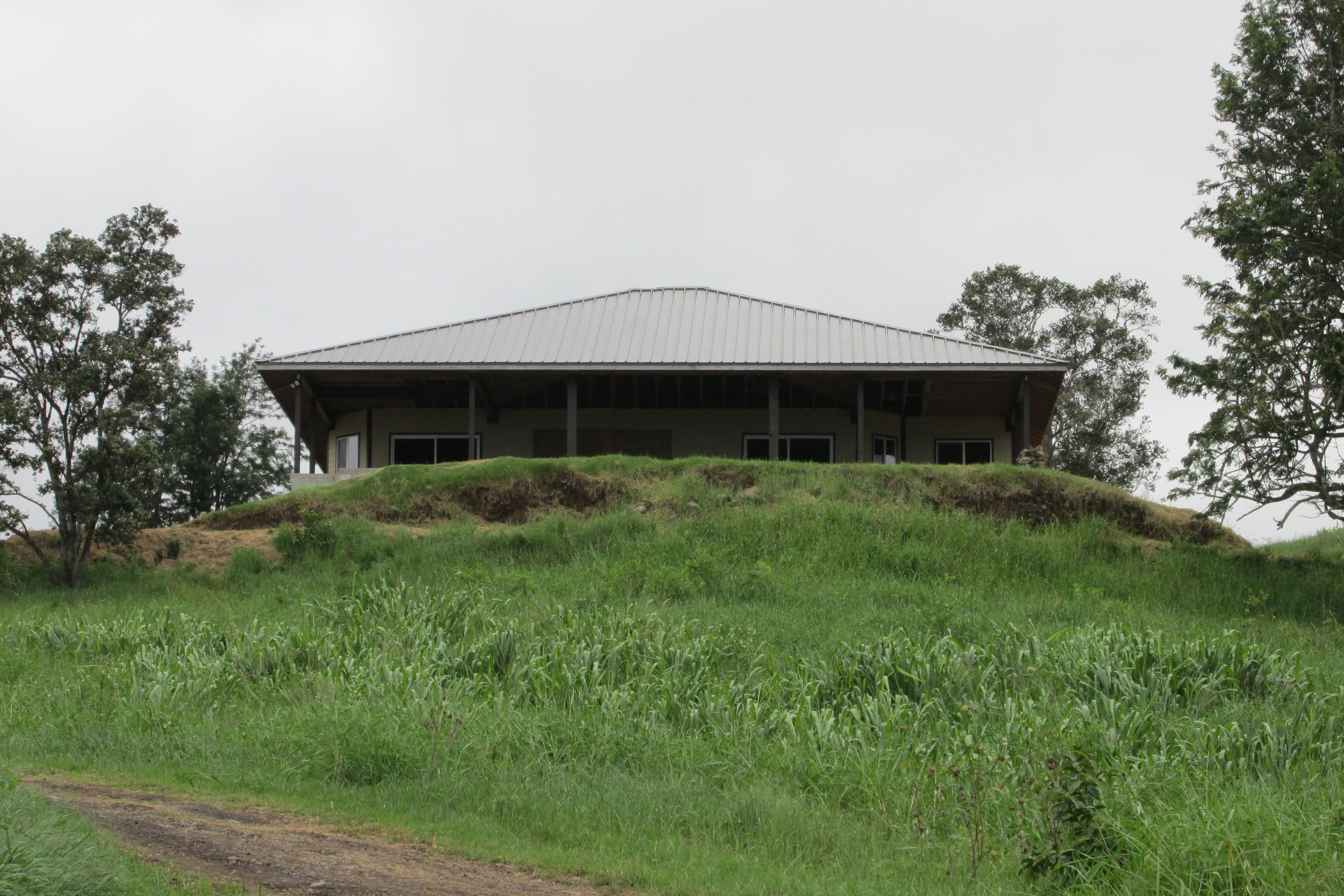 Single-story home with a wide metal roof atop a lush grassy hill.