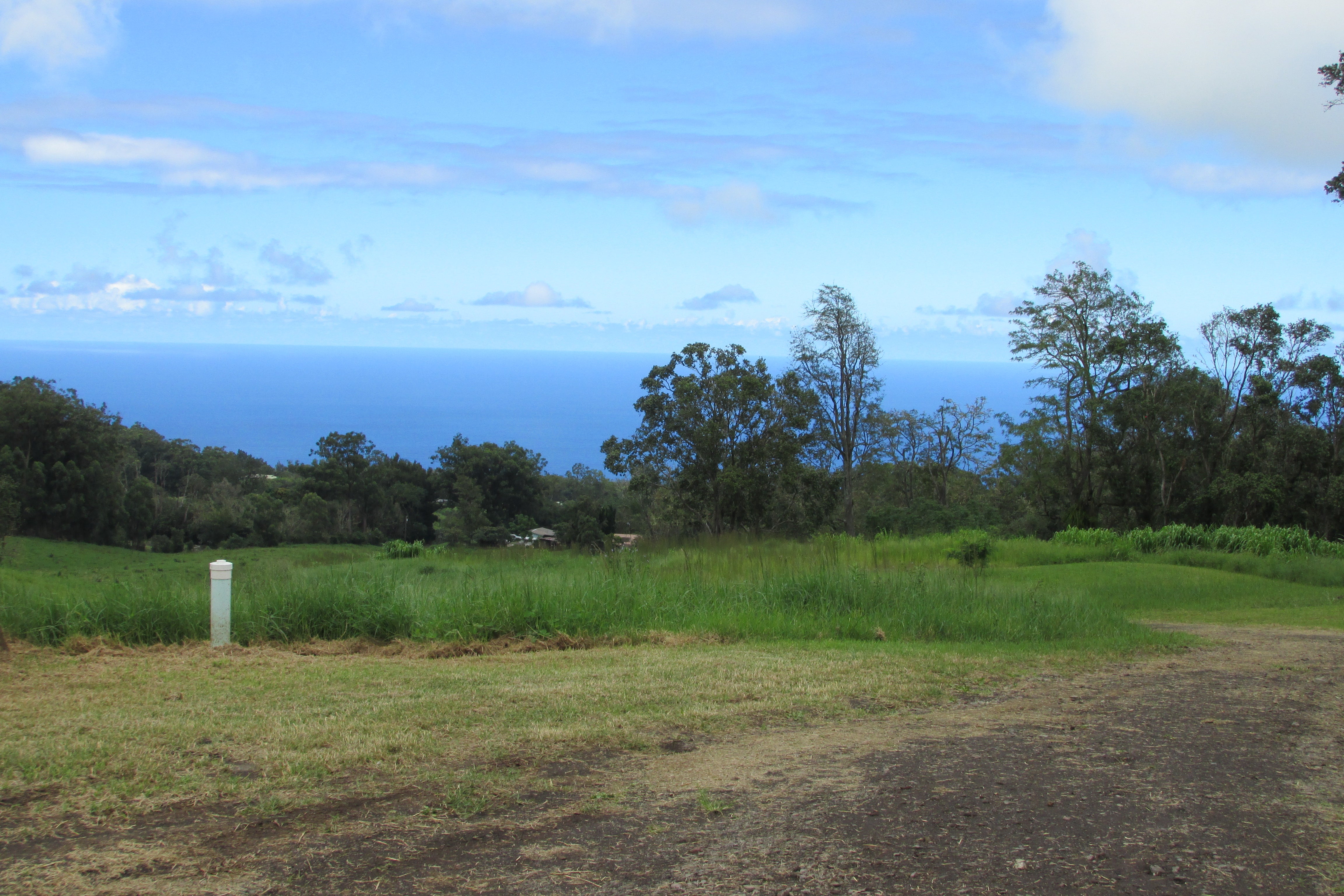 Grassy hillside lot with trees and a wide ocean view.