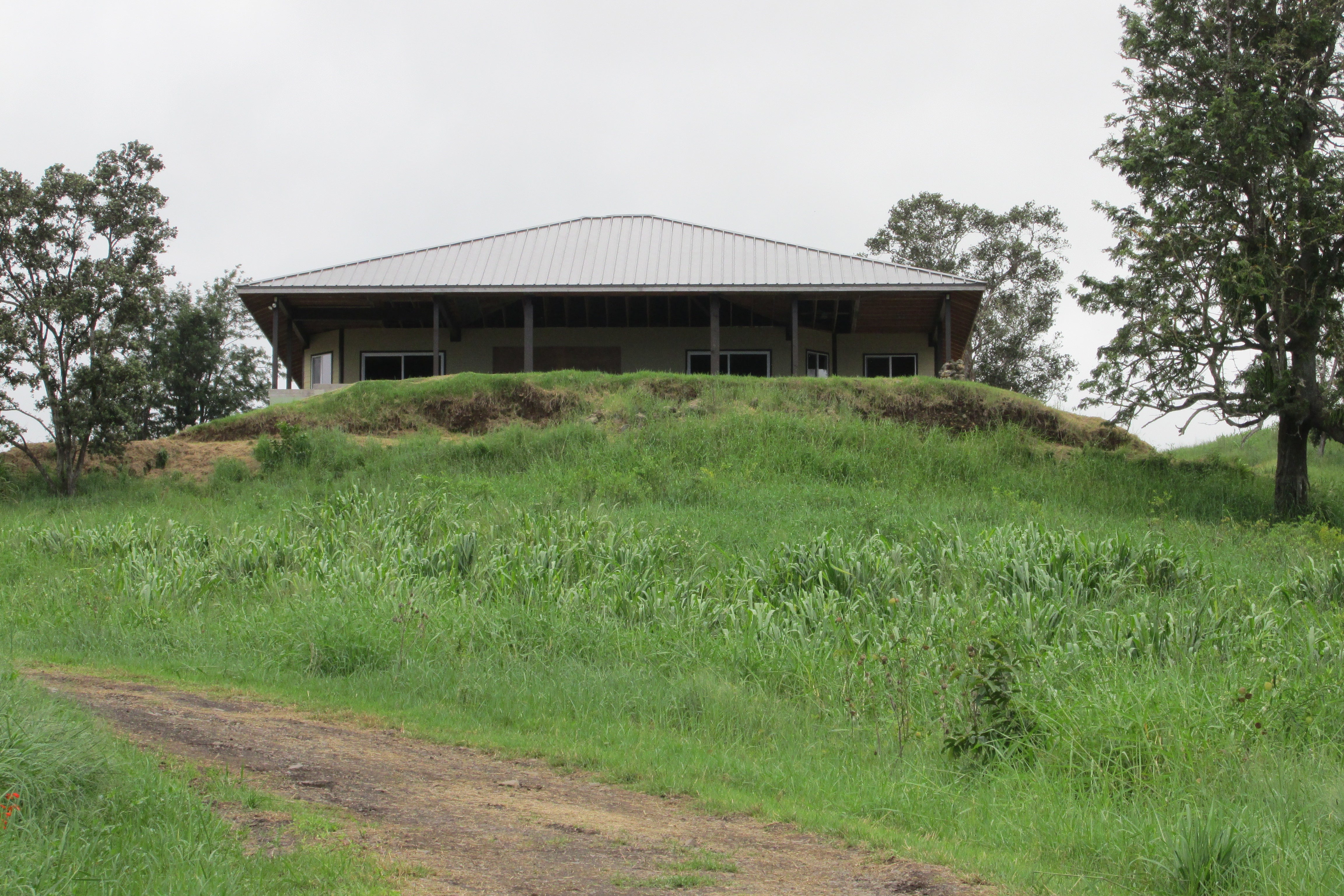 Single-story house with a broad metal roof on a grassy rise, approached by a dirt path.