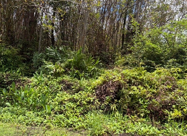 HULEIA PL