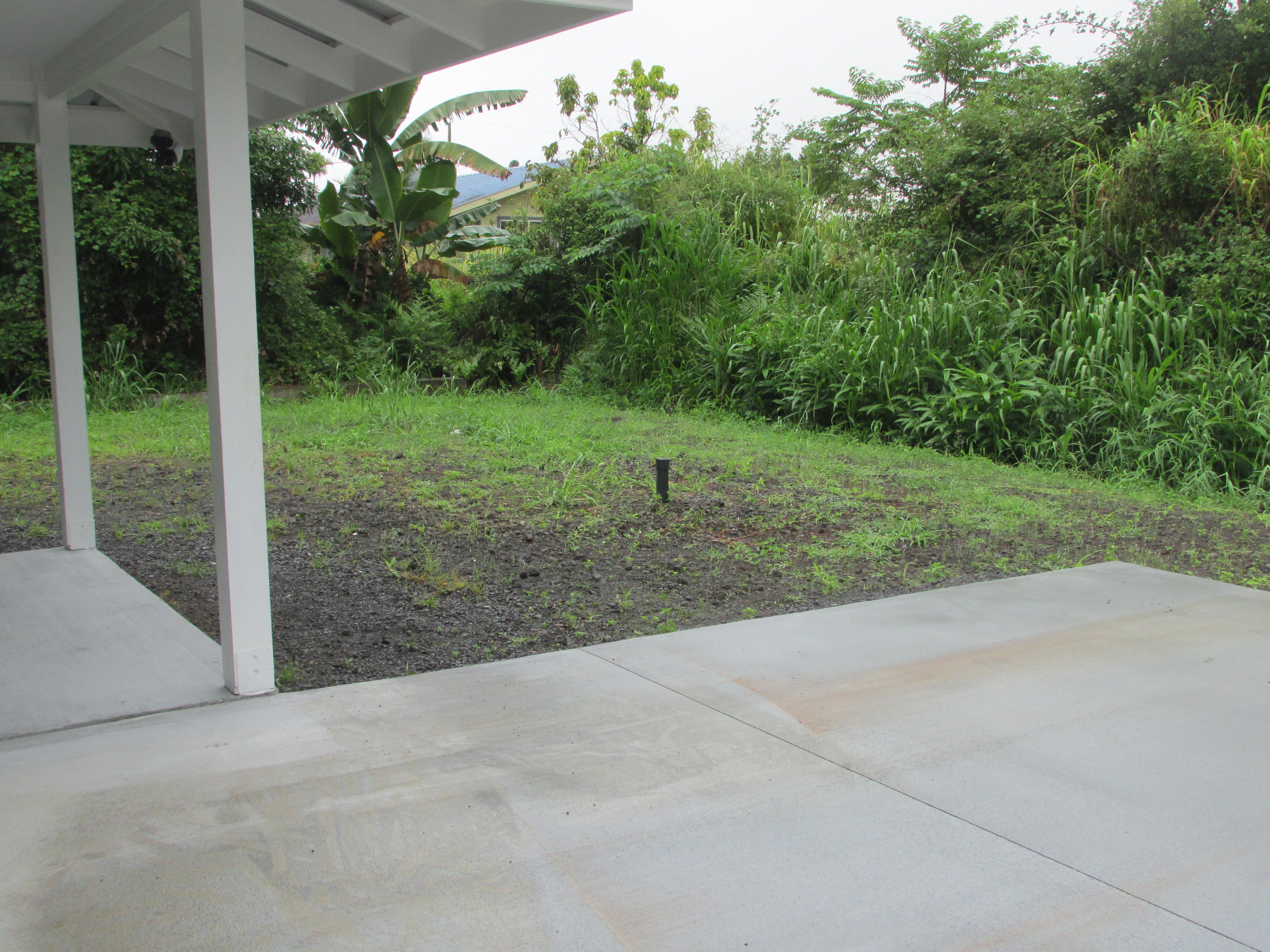 Covered concrete patio overlooking a sparse yard bordered by dense tropical vegetation.
