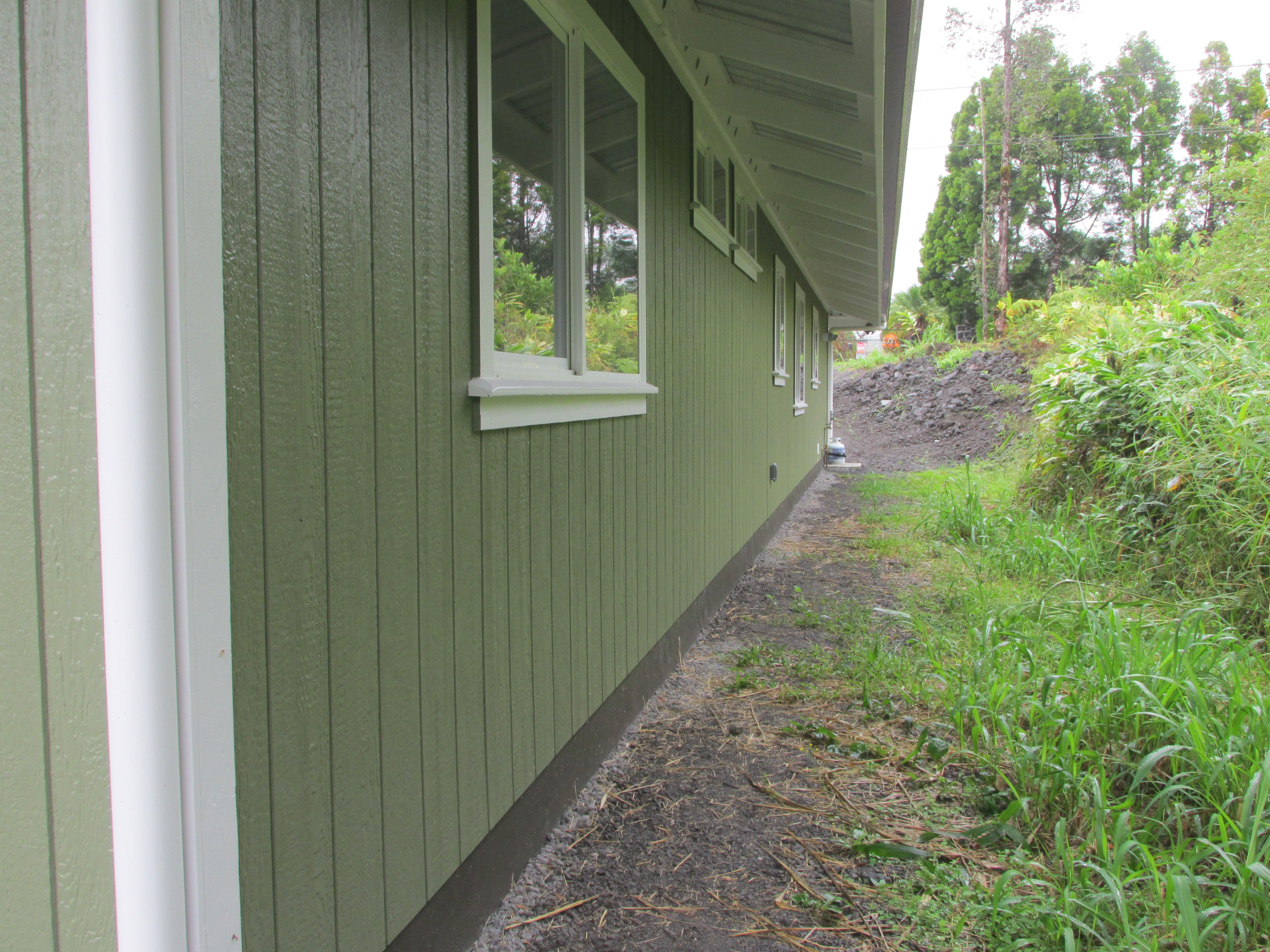 House side with green siding and white-trimmed windows beside a narrow path and lush vegetation.