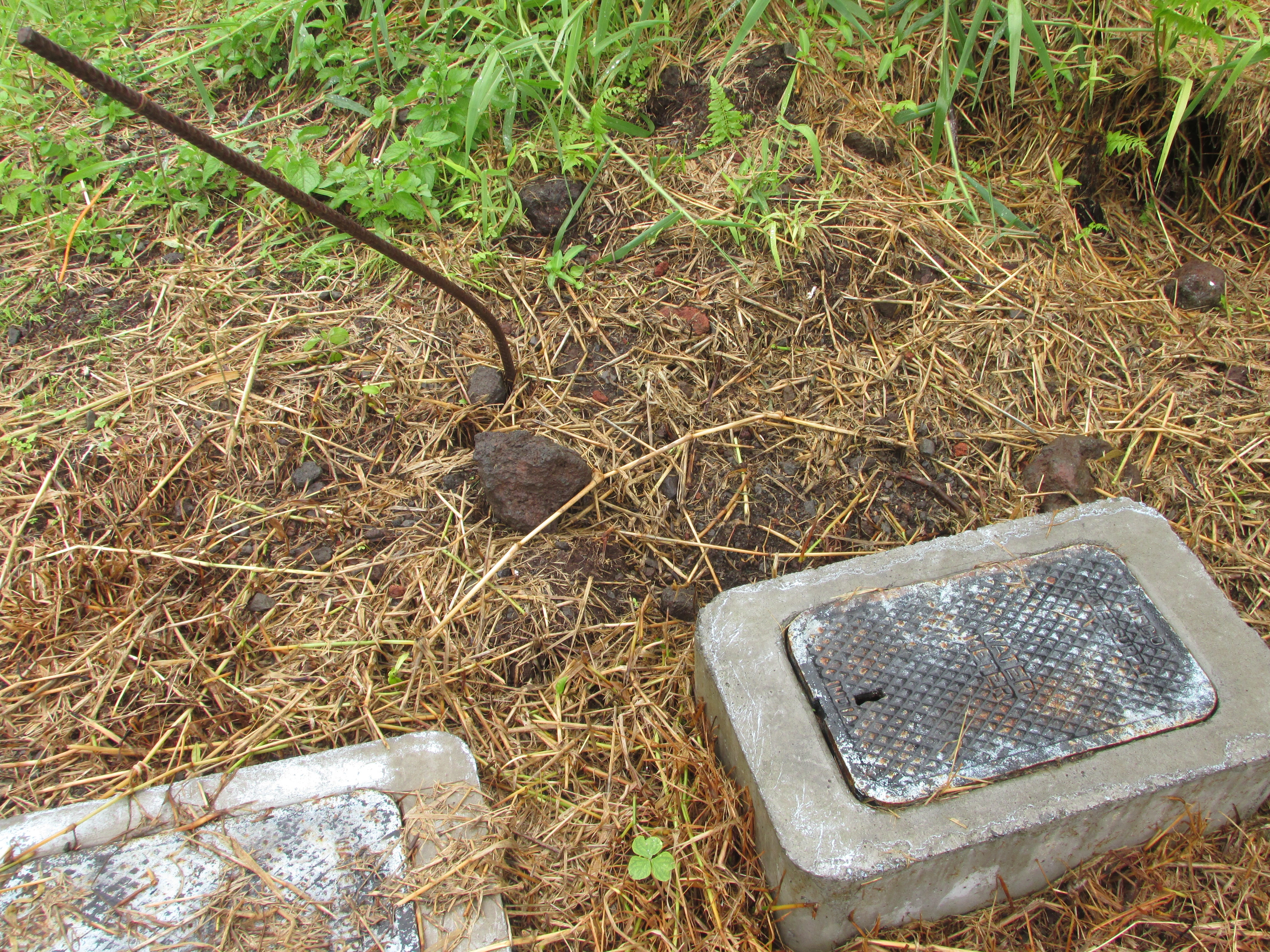 Concrete utility access boxes with metal covers among cut vegetation and rocks.
