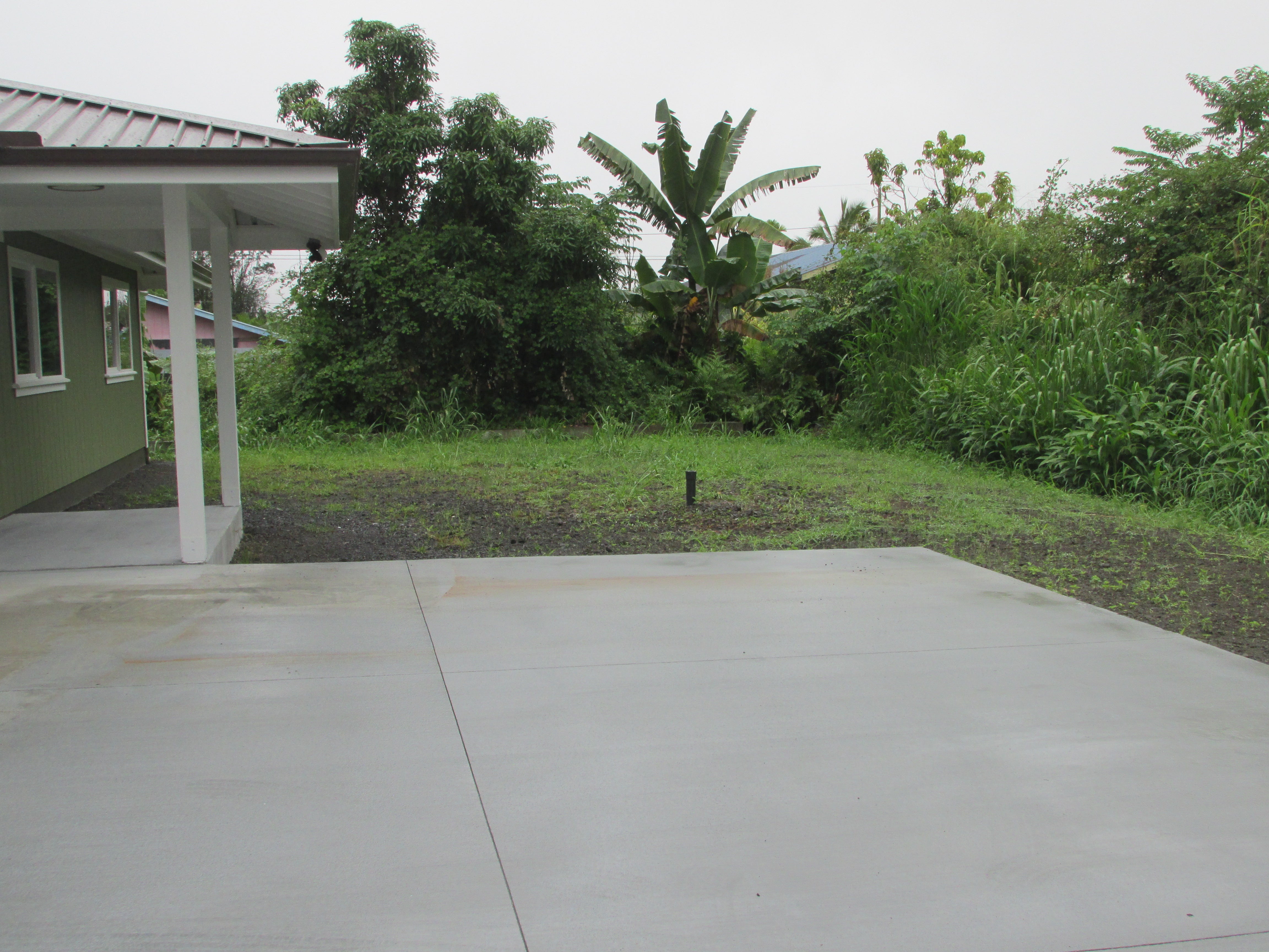 Green house beside a wide concrete patio and tropical yard with banana plants.