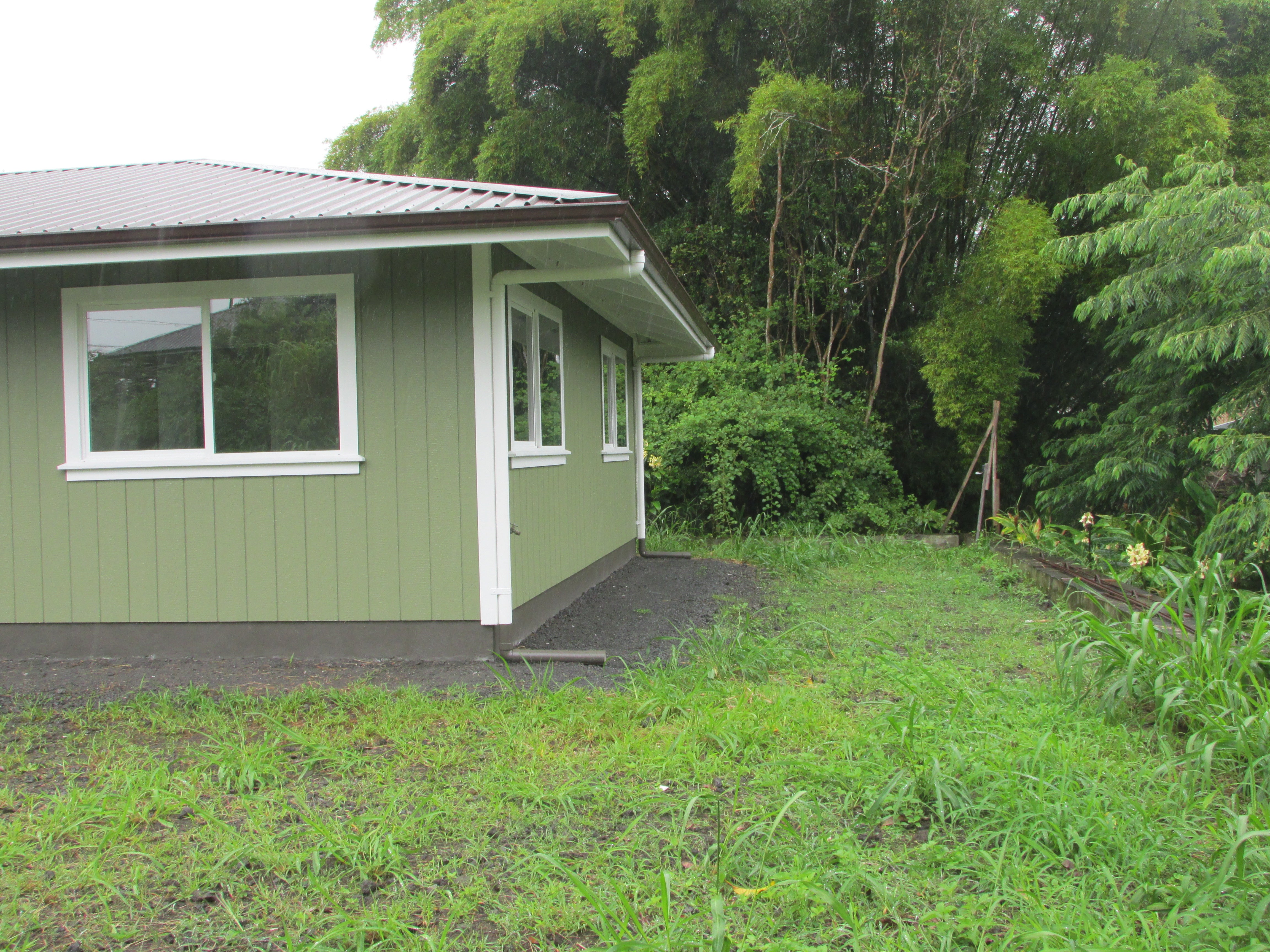Green house with white-trimmed windows beside a lush, overgrown yard.