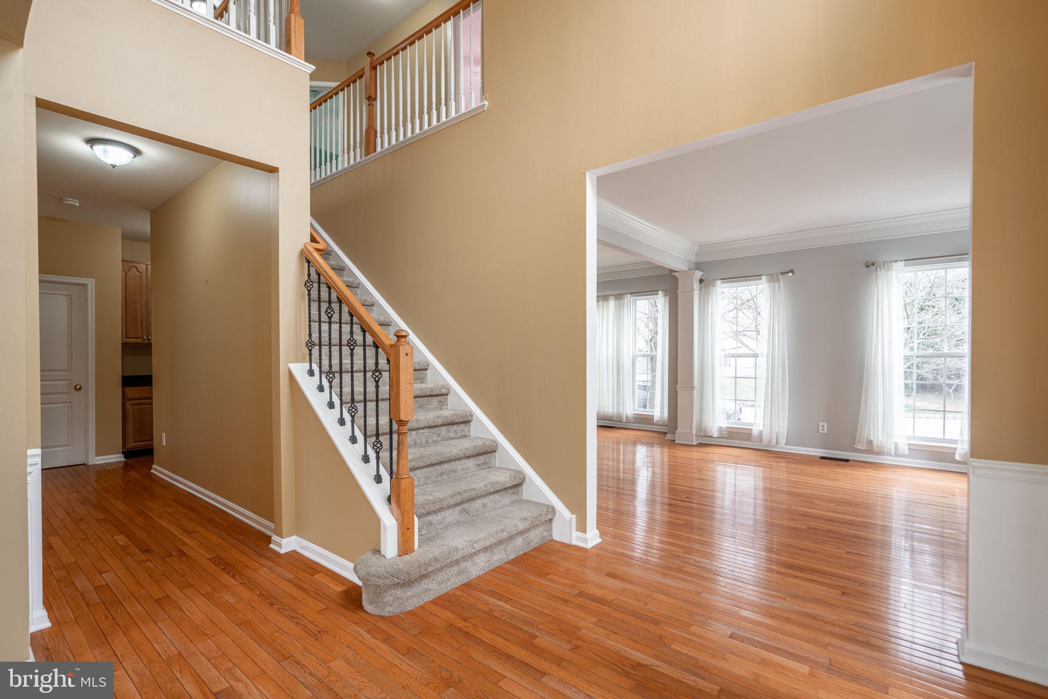900 Harsdale Way