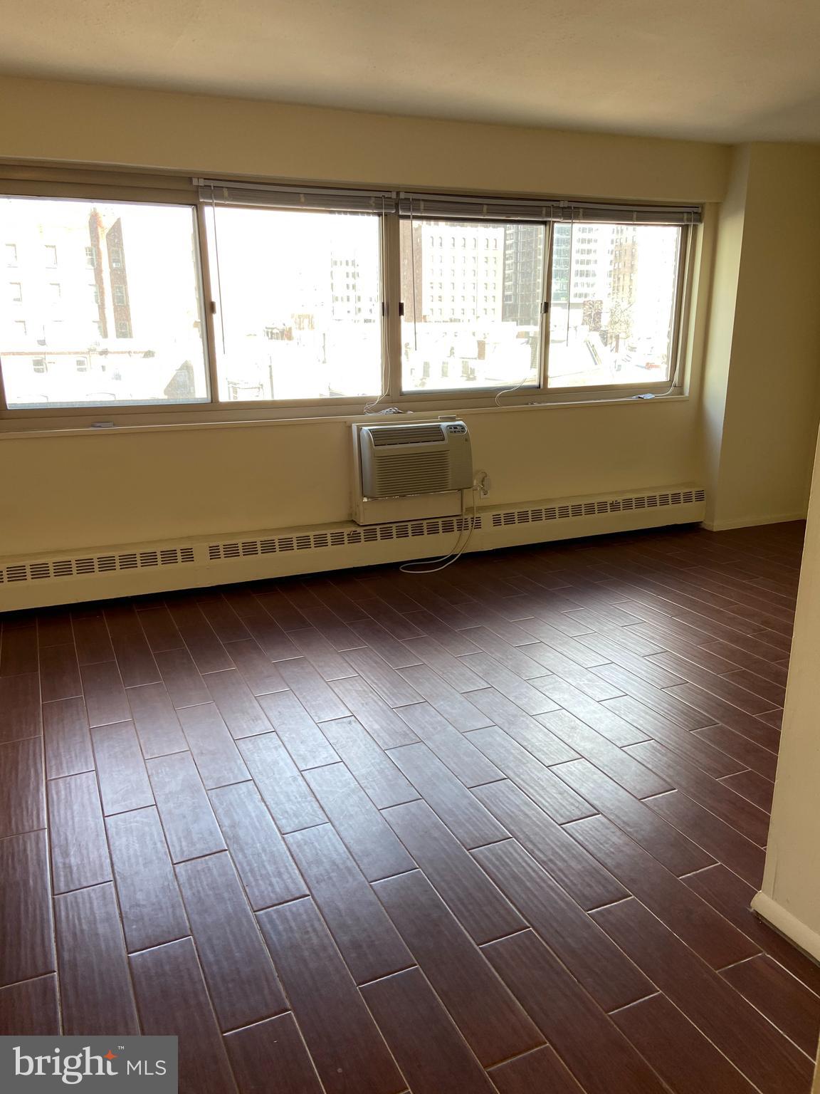 2101-17 CHESTNUT ST #706