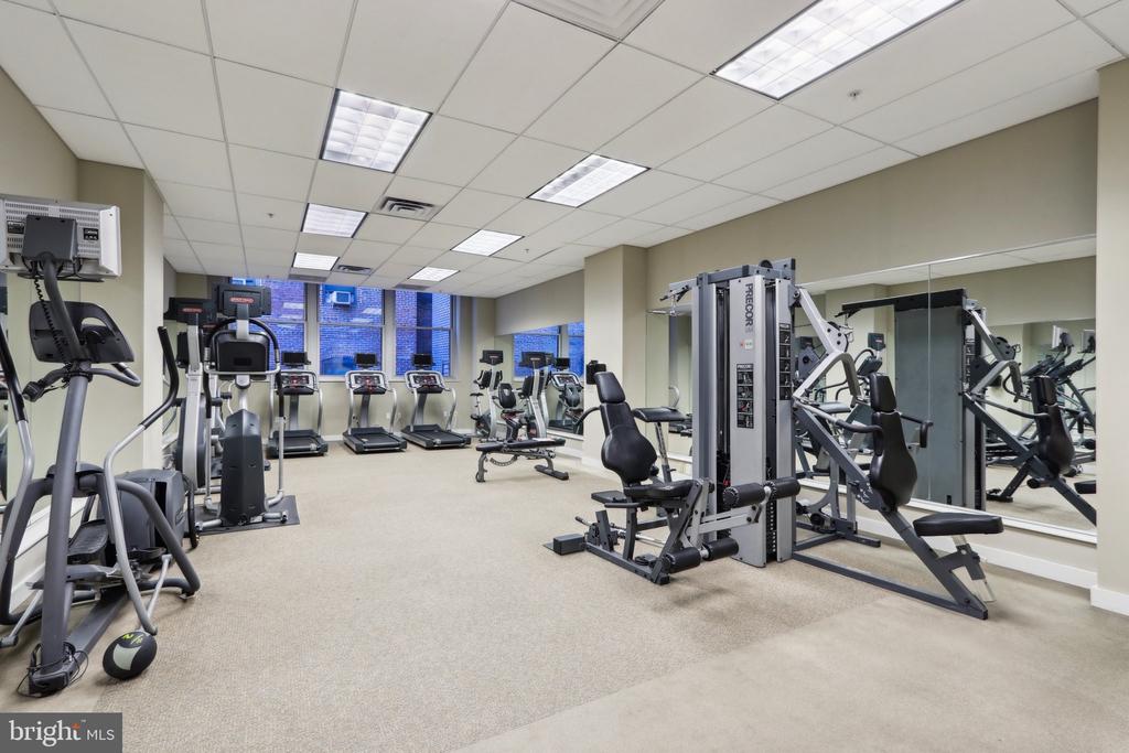 1101 LOCUST STREET 8B