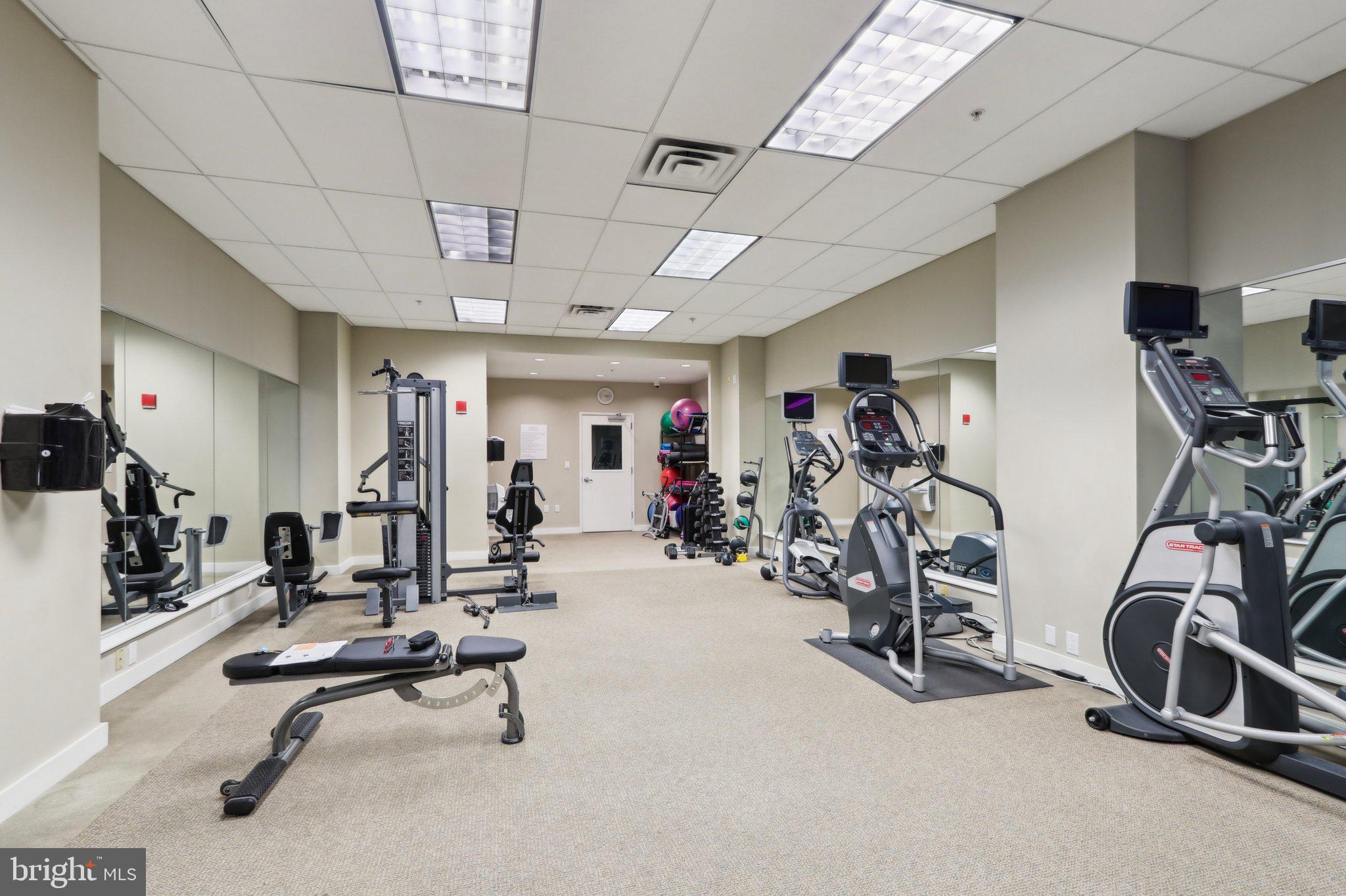 1101 LOCUST STREET 8B