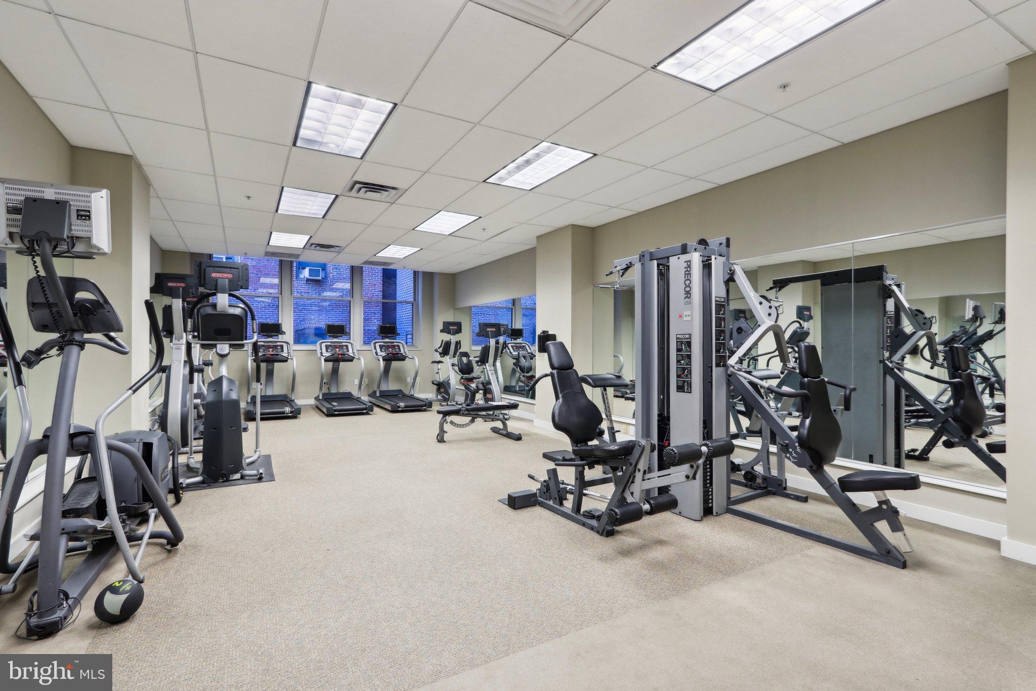 1101 LOCUST STREET 8B