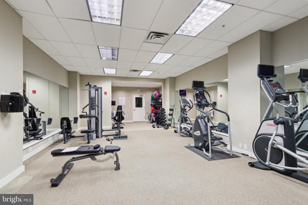 1101 LOCUST STREET 8B