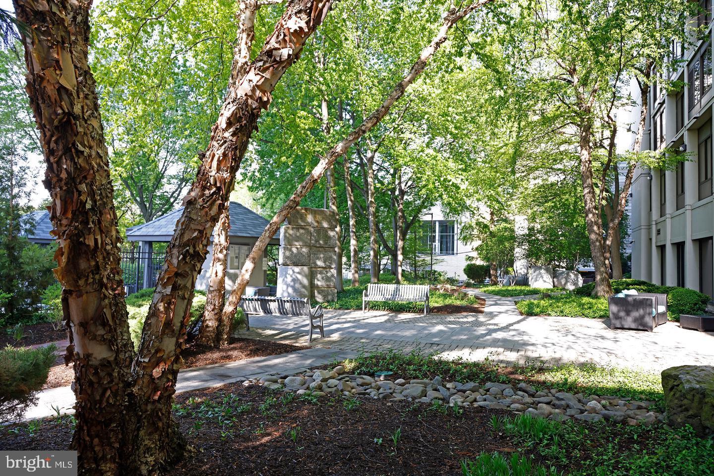 2001 HAMILTON STREET 2001