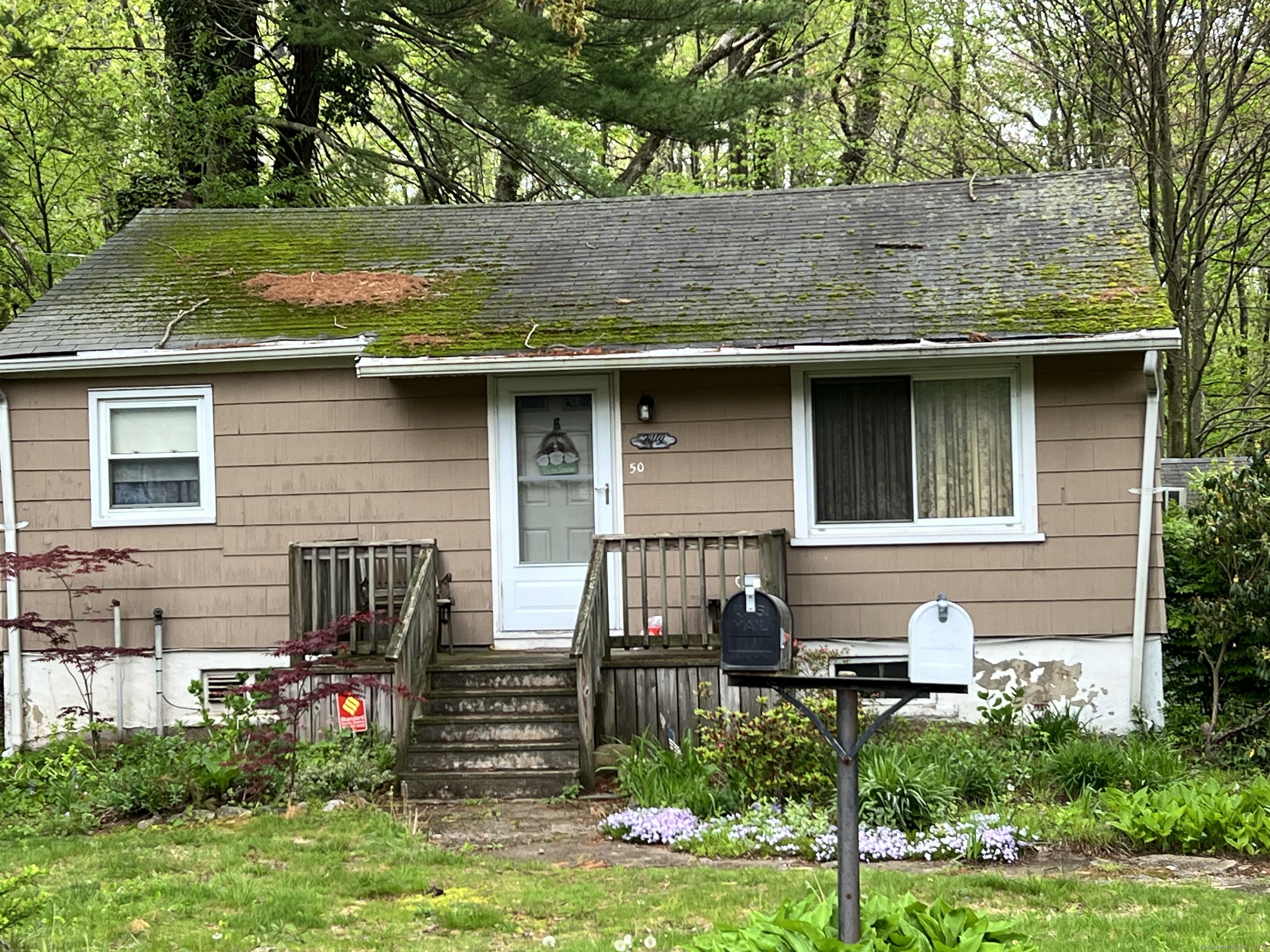50 Gray Street