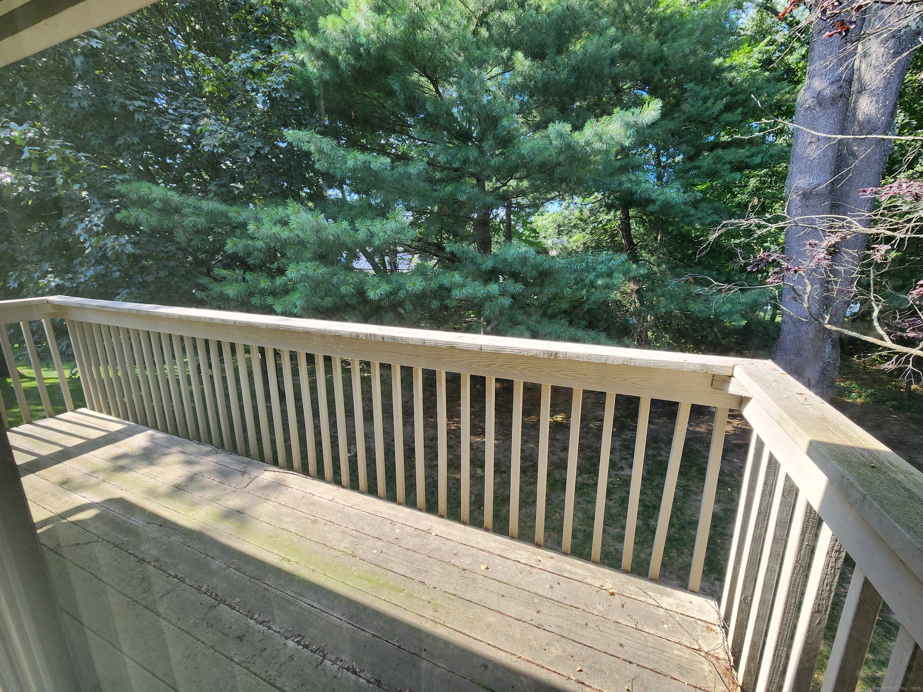 320 Strawberry Hill Avenue APT 15