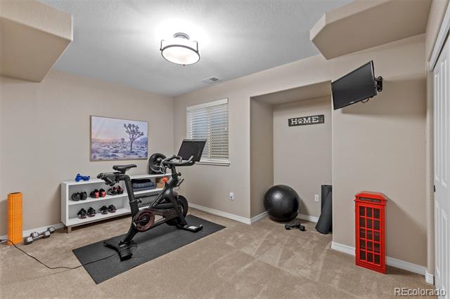 5320 S Race Court