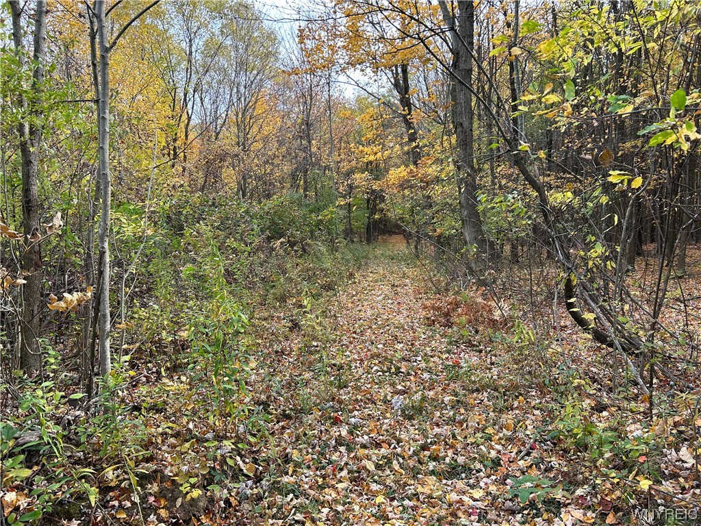 9220 Chautauqua Road