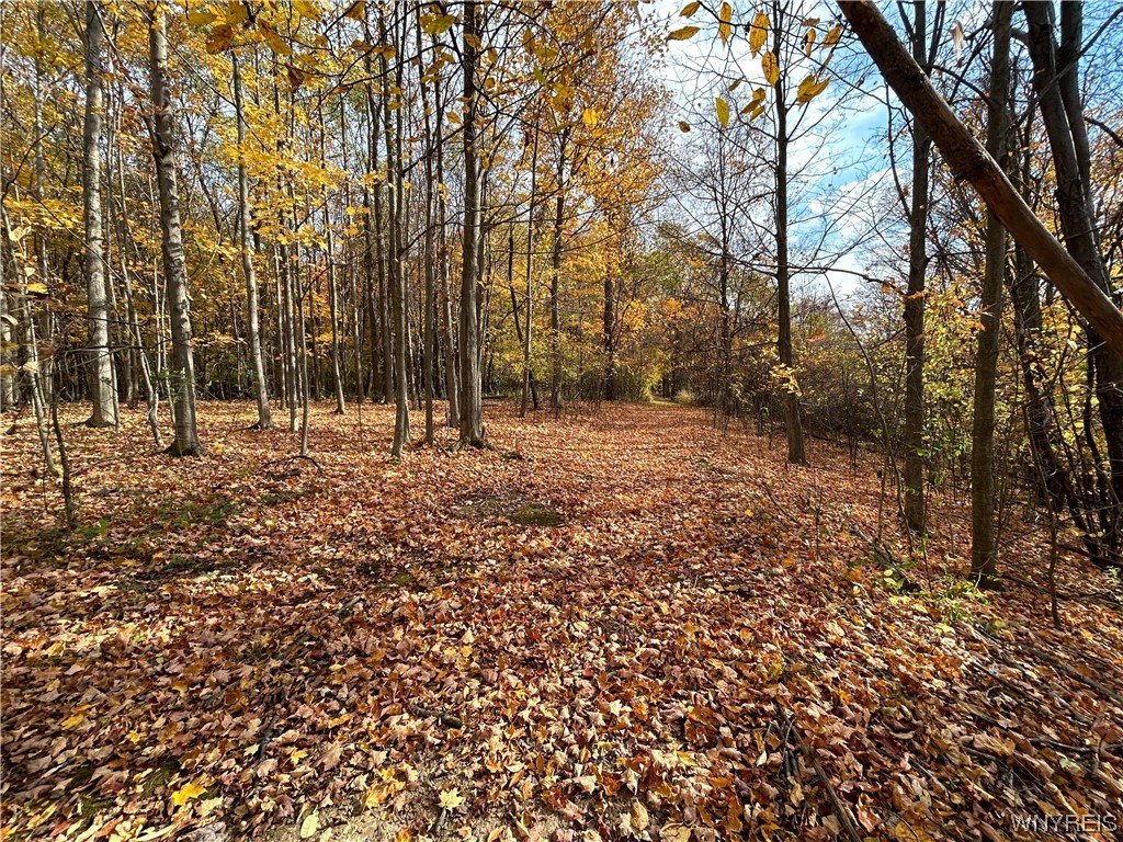 9220 Chautauqua Road