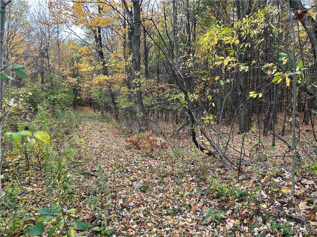 9220 Chautauqua Road