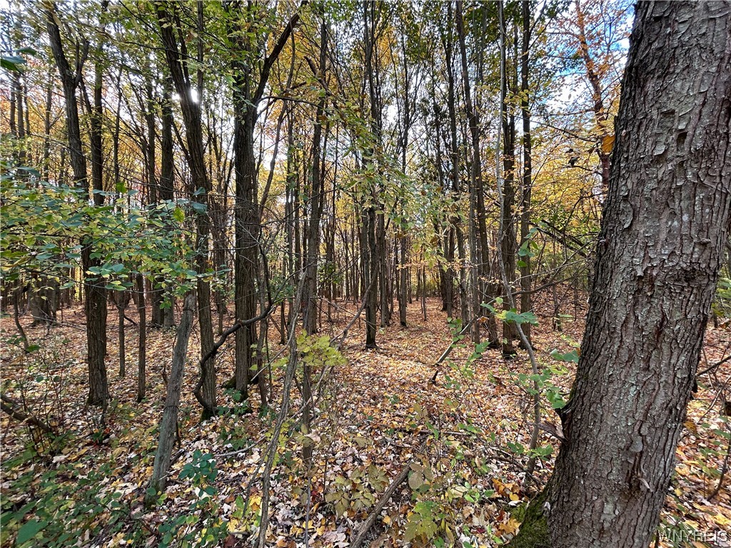 9220 Chautauqua Road