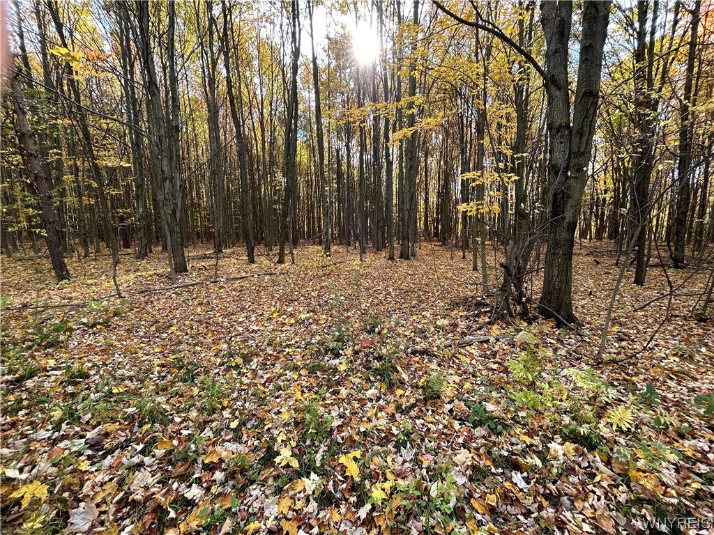 9220 Chautauqua Road